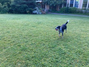 Charley pretending she's running on an island.